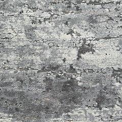 Wadyka 7'10 x 10'3 Rug